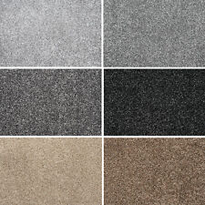 Saxony Carpet Thick 14mm Cheap