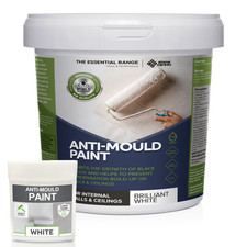 Anti Mould Paint Protects 5